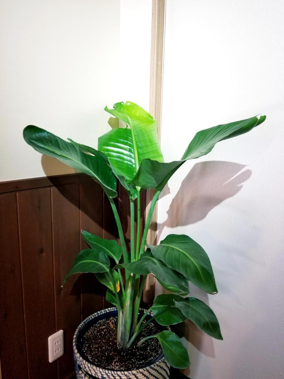 Kyoto Hostel Ryokan Ngoại thất bức ảnh